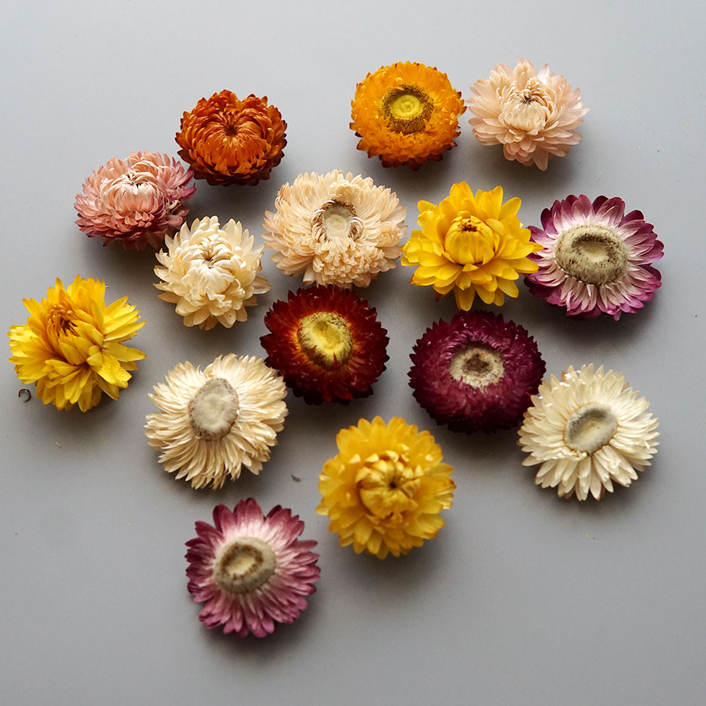 Natural Dried Colorful Chrysan - Candle Making Supplies review and price